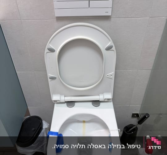 אסלה עם חומרי ניקוי בחדר אמבטיה